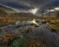 Great Trossachs Forest National Nature Reserve